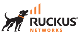 Ruckus Networks